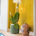 Regency Luxe توريمولينوس