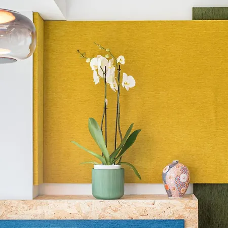 Apartment Regency Luxe Torremolinos