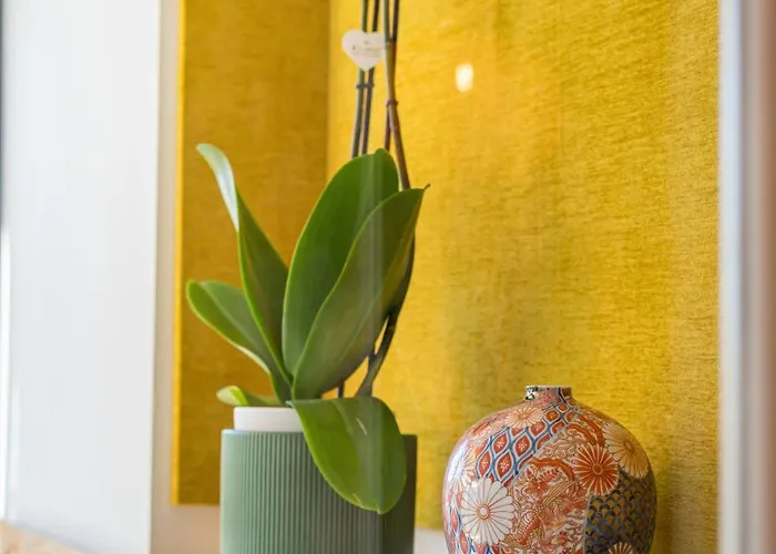 Regency Luxe توريمولينوس